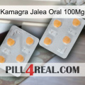 Kamagra Jelly Oral 100Mg 25